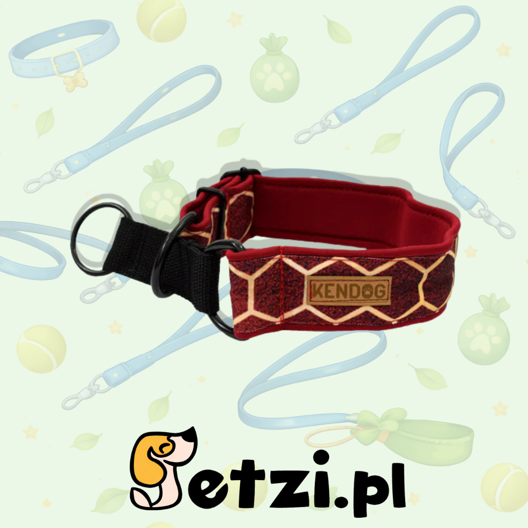KENDOG OBROŻA DLA PSA PÓŁZACISKOWA BORDO PLASTRY MIODU 3CM S