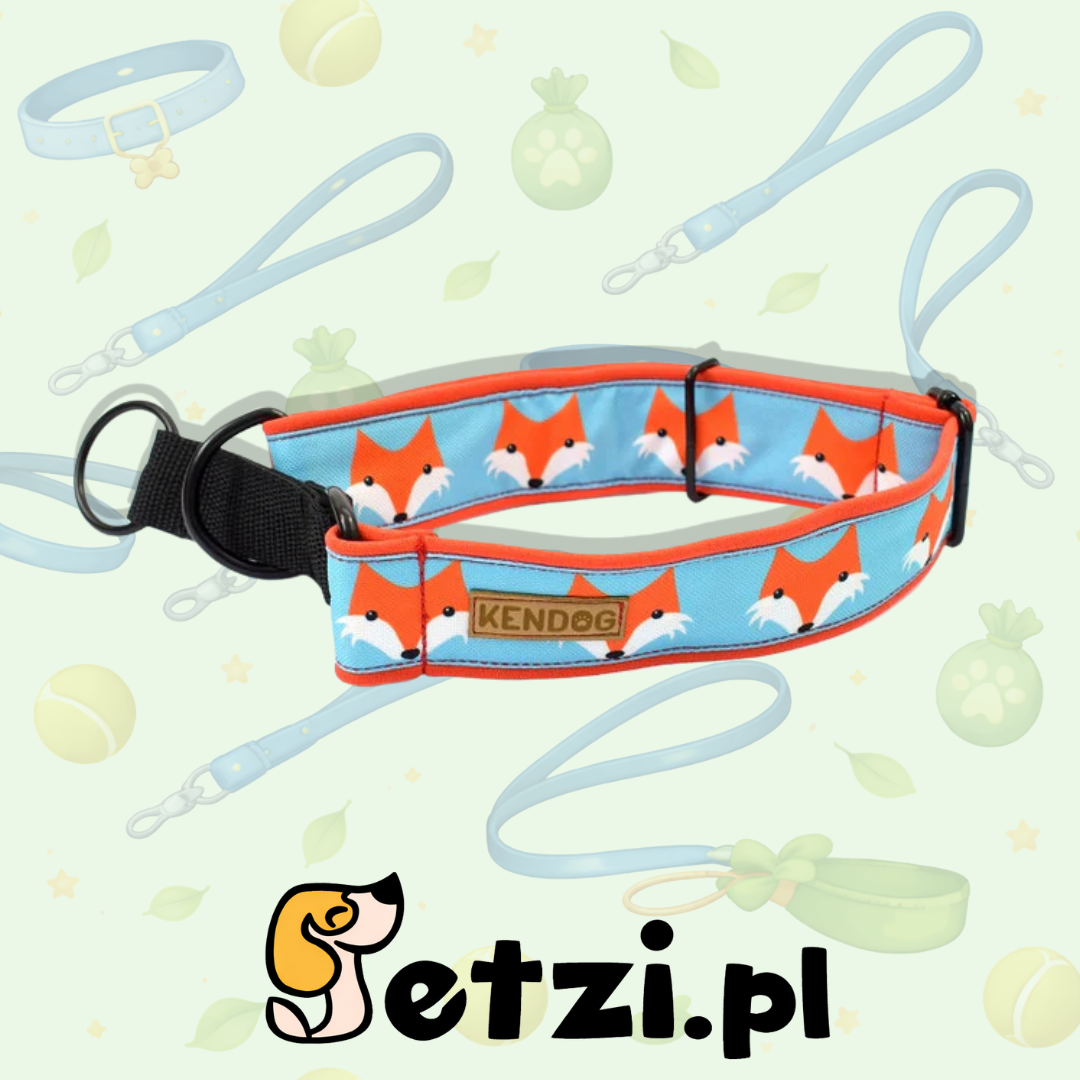 KENDOG OBROŻA DLA PSA PÓŁZACISKOWA LISY 4CM M