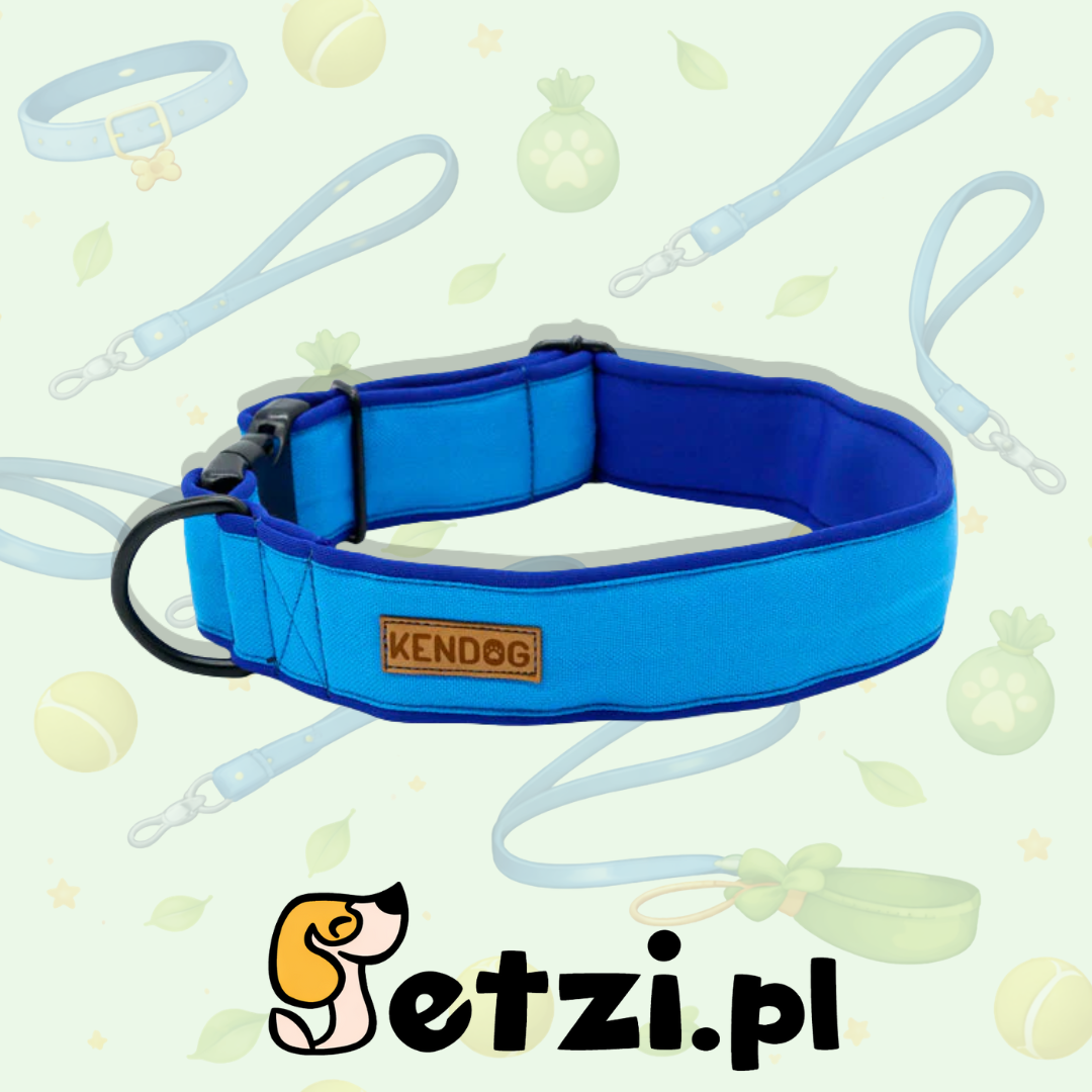 KENDOG OBROŻA DLA PSA PÓŁZACISKOWA MONOCOLOR BLUE 3CM M