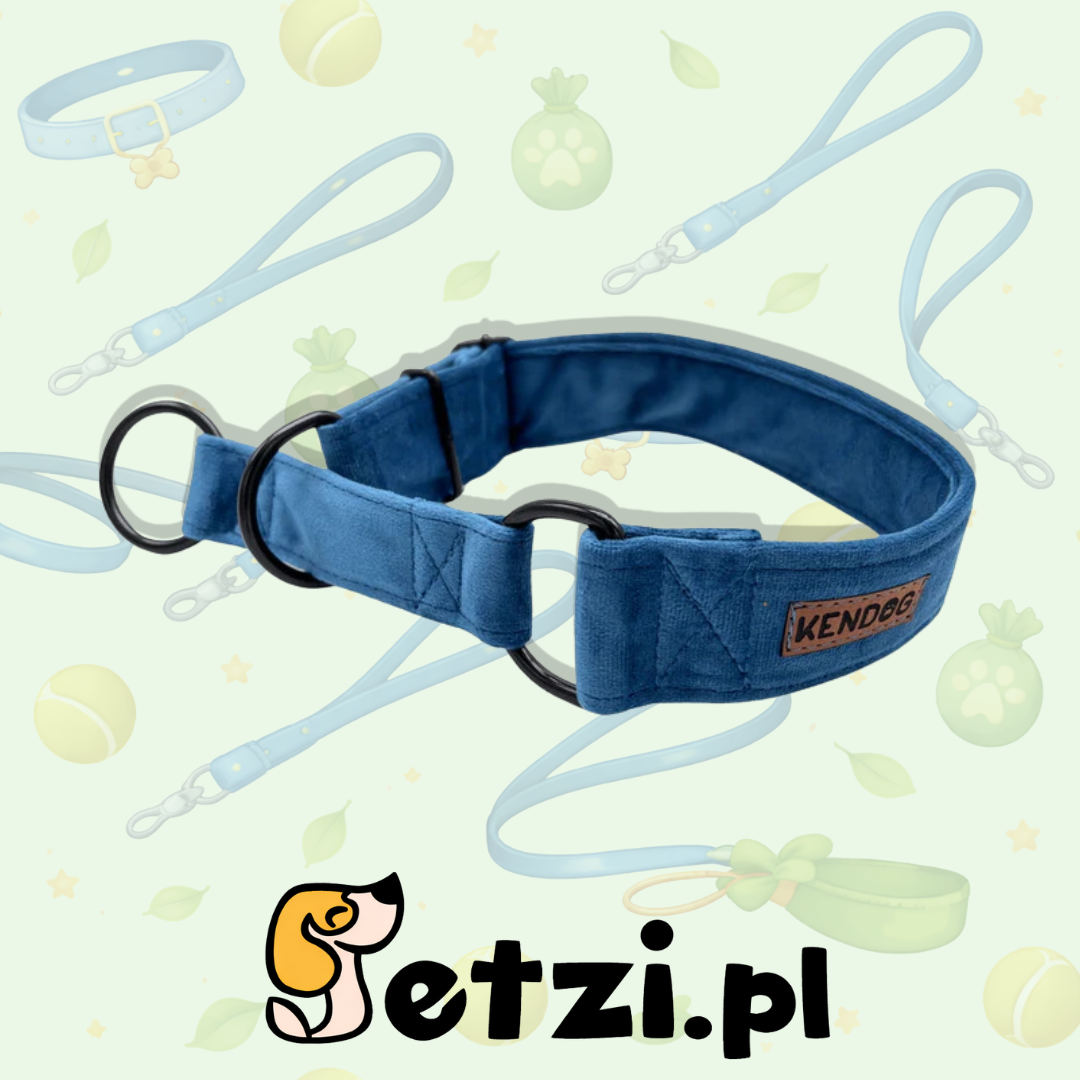 KENDOG OBROŻA DLA PSA PÓŁZACISKOWA VELVET BLUE 4CM M