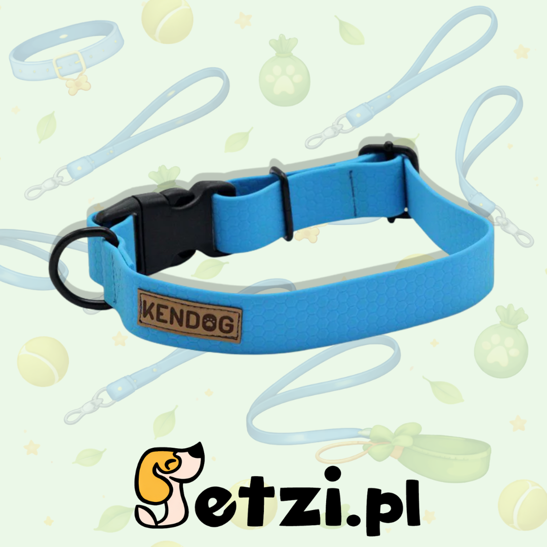 KENDOG OBROŻA DLA PSA PVC/TPU BLUE NEON S