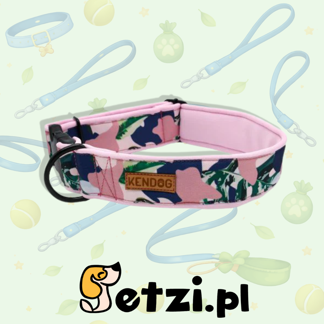 KENDOG OBROŻA DLA PSA RÓŻOWE MORO 5CM M
