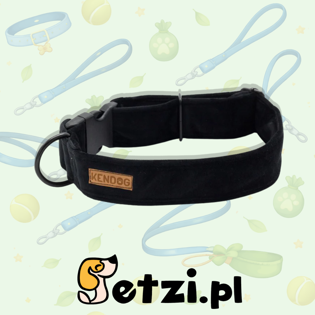 KENDOG OBROŻA DLA PSA VELVET BLACK 2,5CM S