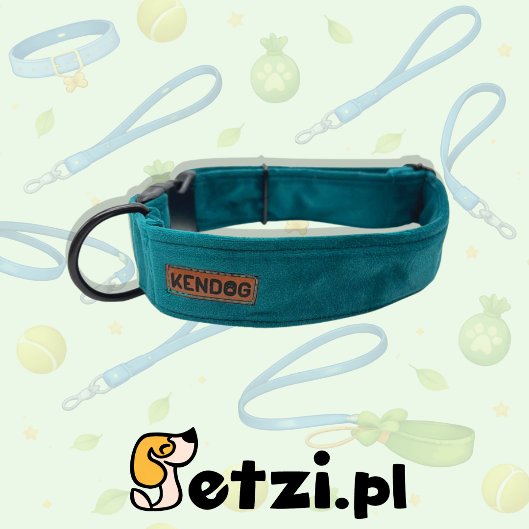 KENDOG OBROŻA DLA PSA VELVET TURKUS 1,5 CM XS