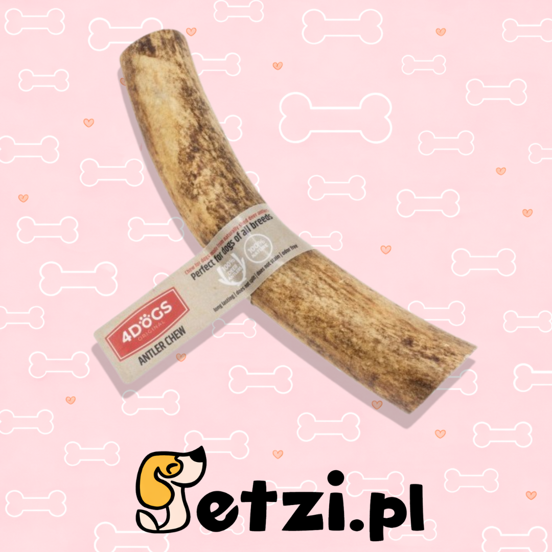 4DOGS GRYZAK XXL HARD Z POROŻA JELENIA