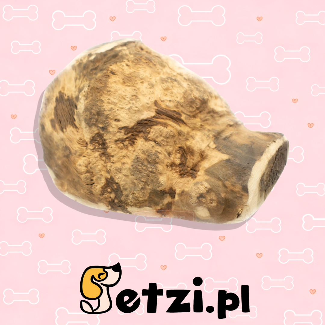 4DOGS GRYZAK XL Z KORZENIA WRZOŚCA