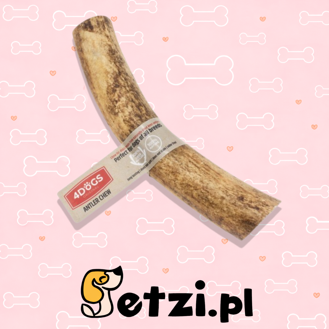 4DOGS GRYZAK XL HARD Z POROŻA JELENIA