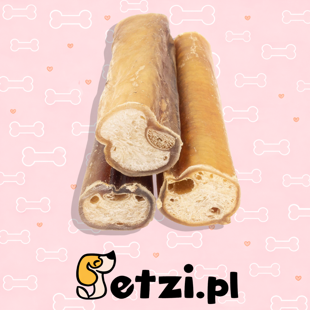 4DOGS GRYZAK S Z PENISA WOŁOWEGO