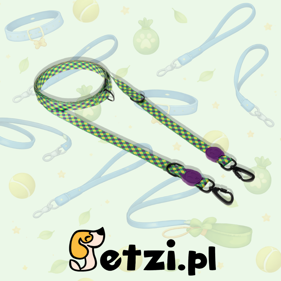 GOODY SMYCZ REGULOWANA STYLISH CHARLIE L