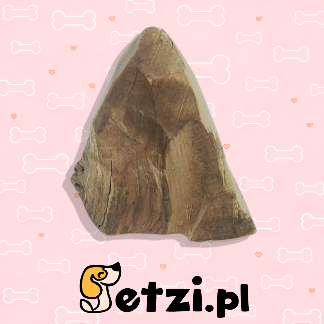 4DOGS GRYZAK S Z KORZENIA WRZOŚCA