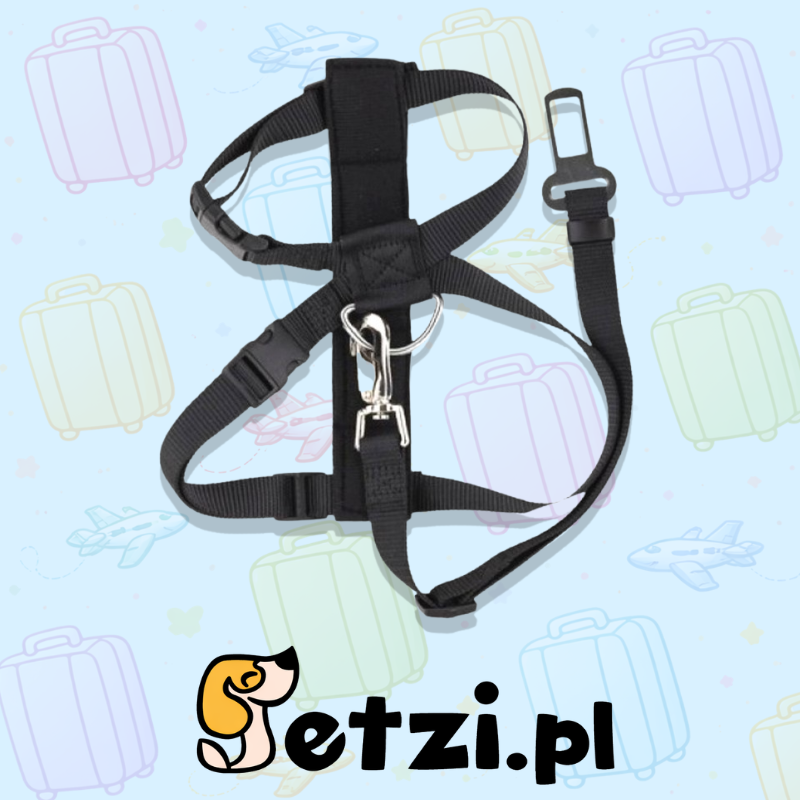PAWISE SAFETY BELT L