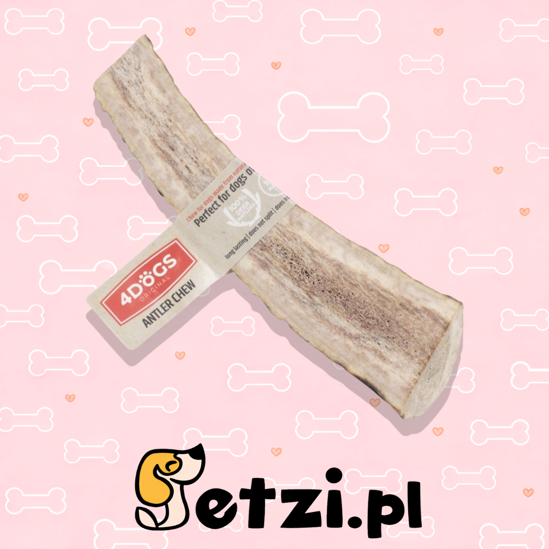 4DOGS GRYZAK L EASY Z POROŻA JELENIA
