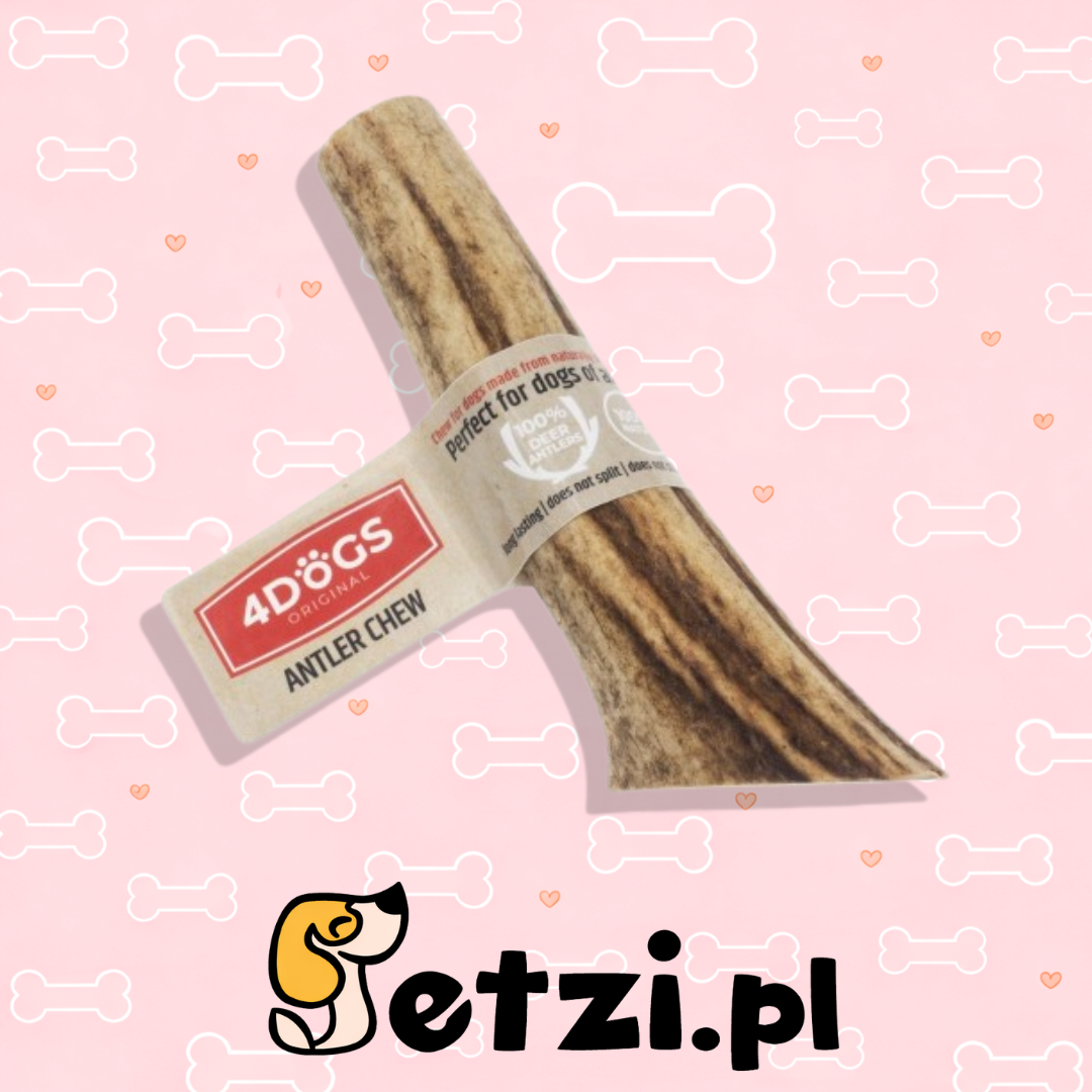 4DOGS GRYZAK M HARD Z POROŻA JELENIA