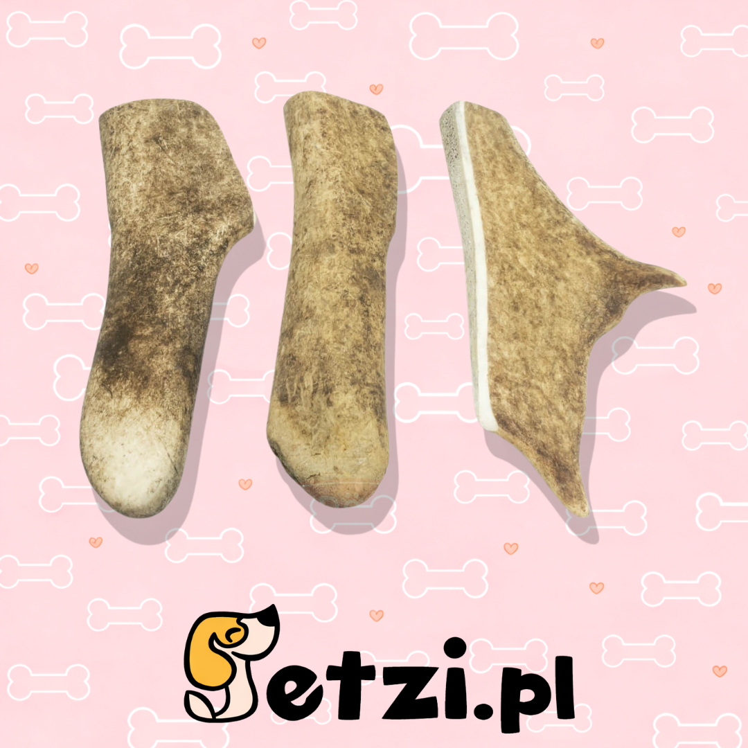 4DOGS GRYZAK M HARD Z POROŻA DANIELA