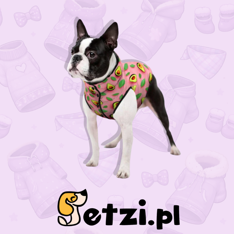 WAUDOG CLOTHES KURTKA DLA PSA AWOKADO NA RÓŻU S30