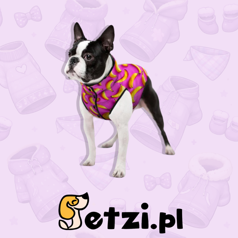 WAUDOG CLOTHES KURTKA DLA PSA BANANY NA RÓŻU XL