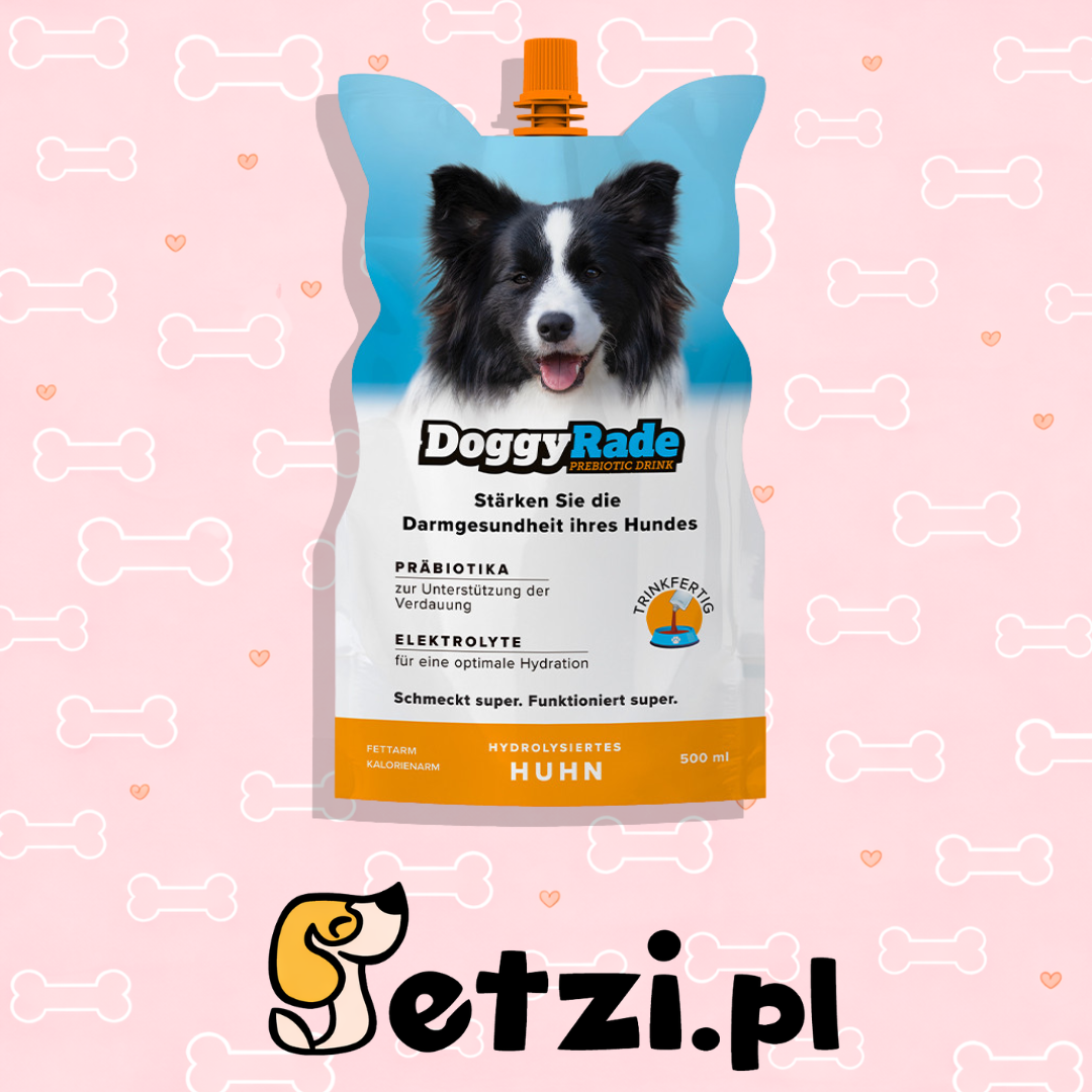 DOGGYRADE NAPÓJ IZOTONICZNY DLA PSA KURCZAK 500ML