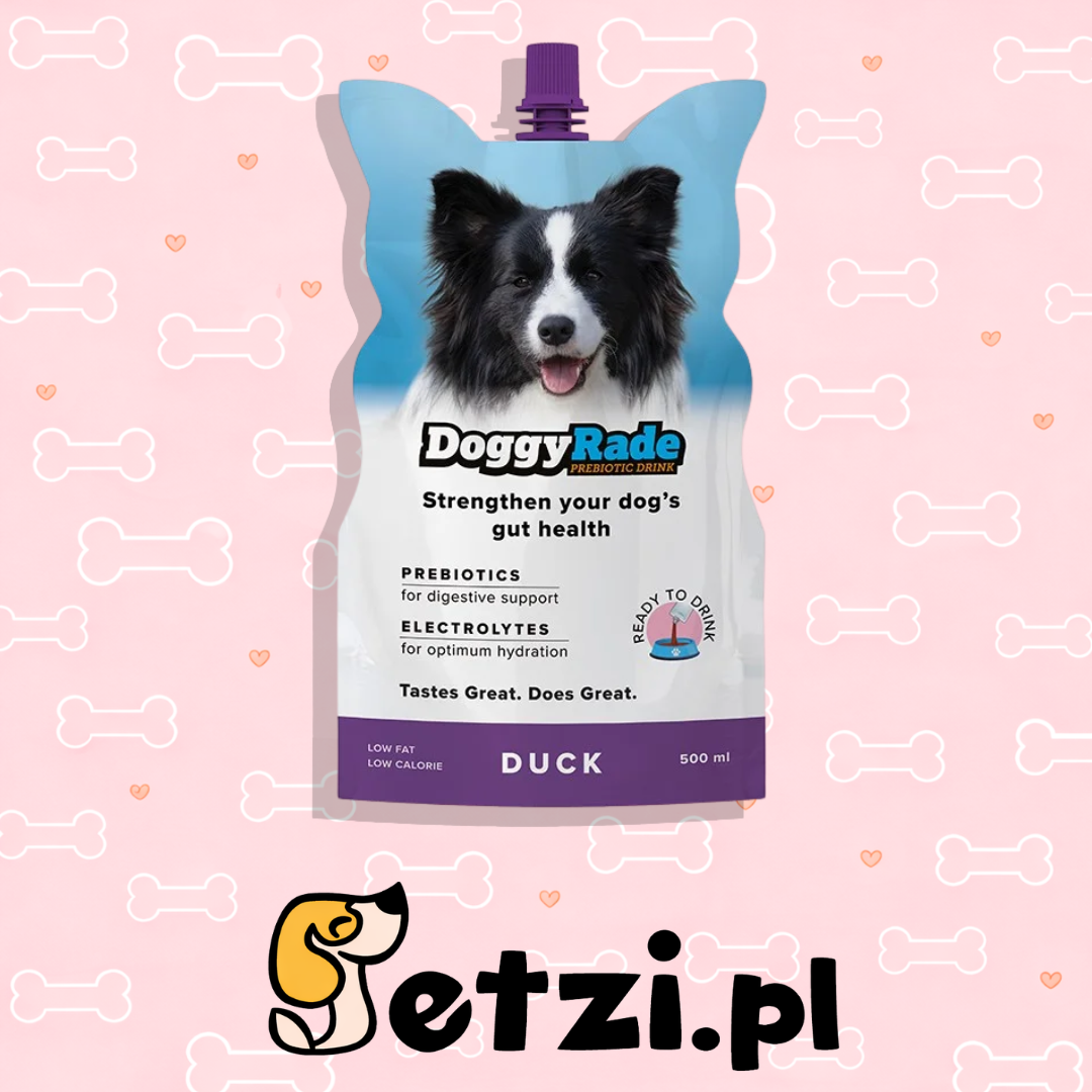 DOGGYRADE NAPÓJ IZOTONICZNY DLA PSA KACZKA 500ML