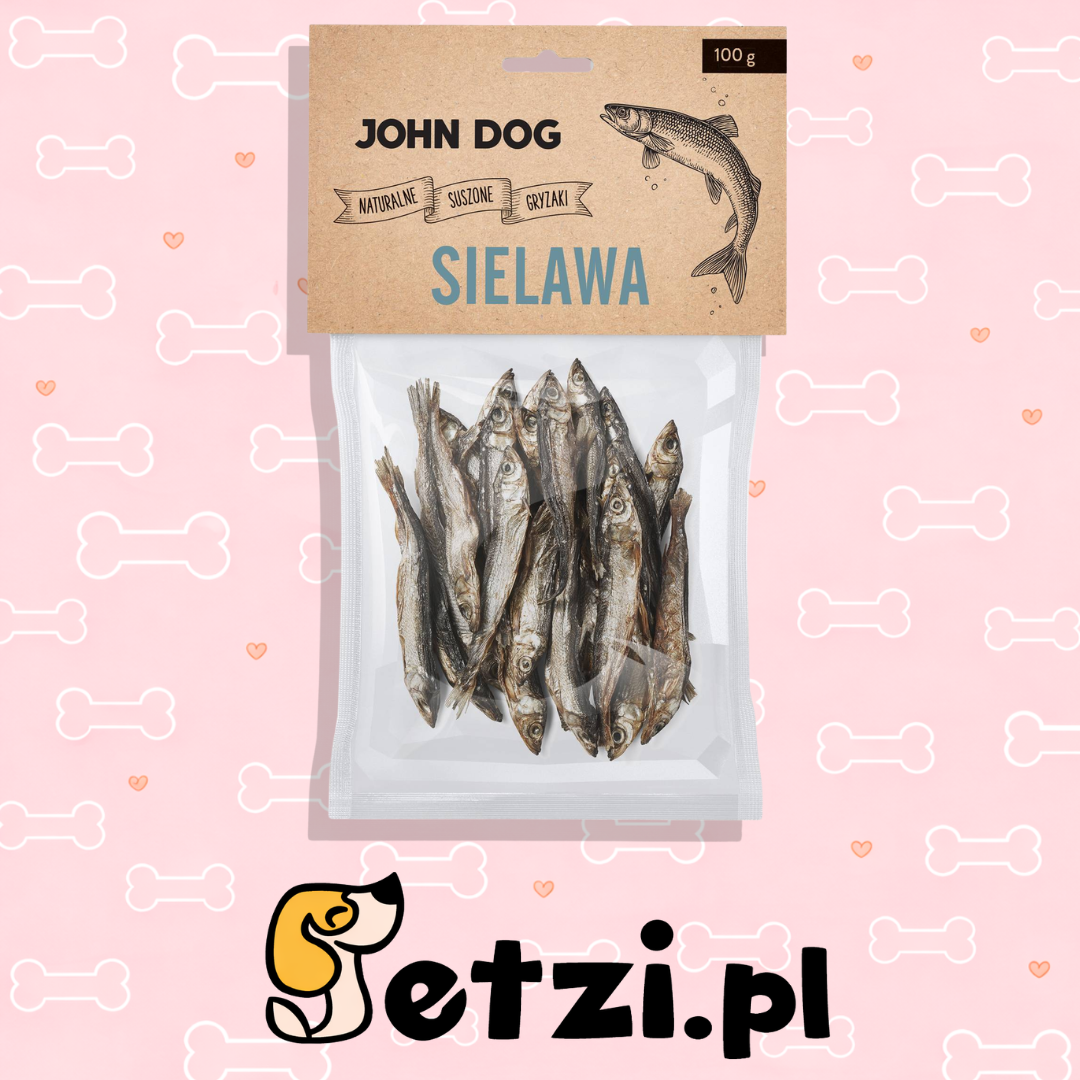 JOHN DOG SUSZONY GRYZAK DLA PSA SIELAWA 100G
