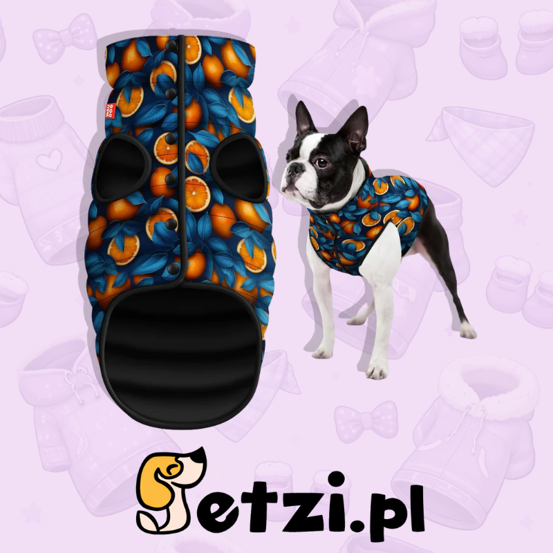 WAUDOG CLOTHES KURTKA DLA PSA POMARAŃCZE M45