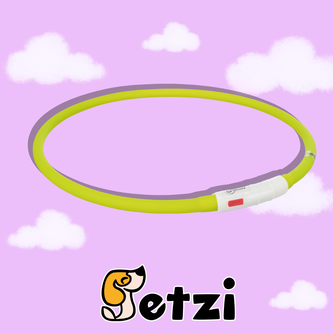 TRIXIE OBROŻA ŚWIECĄCA LED USB – RÓŻNE ROZMIARY I KOLORY
