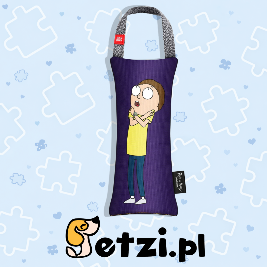 WAUDOG FUN SZARPAK RICK AND MORTY 1 S