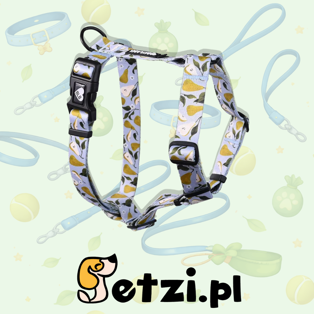 BAYLABEL SZELKI GUARD DLA PSA PEARS IN HEAVEN XL 40MM