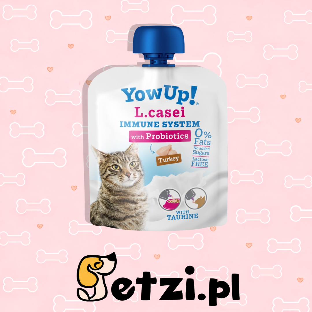 YOW UP! PROBIOTYKI JOGURT DLA KOTA Z INDYKIEM 85G