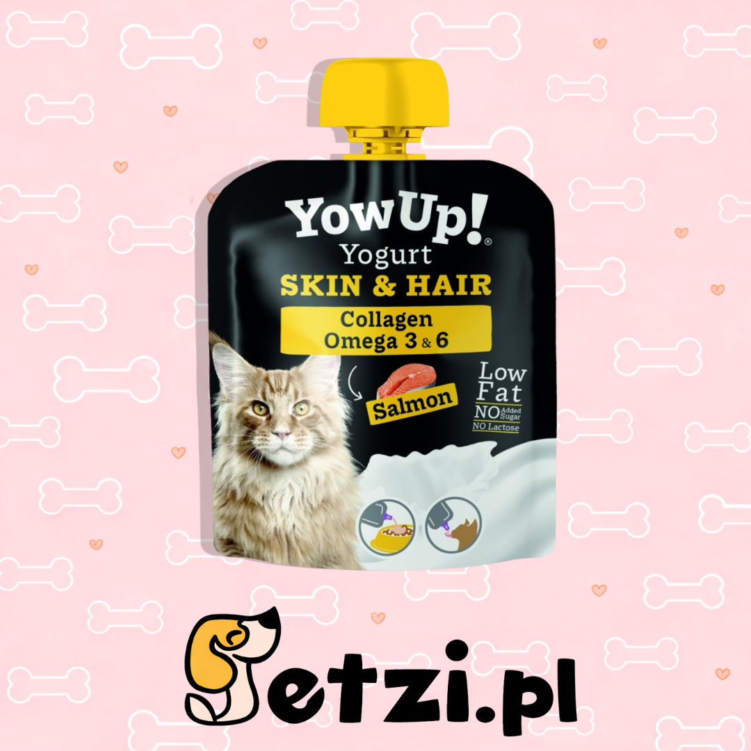 YOW UP! SKIN & HAIR JOGURT DLA KOTA Z ŁOSOSIEM 85G