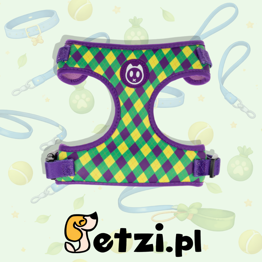 GOODY SZELKI AIR MESH STYLISH CHARLIE S