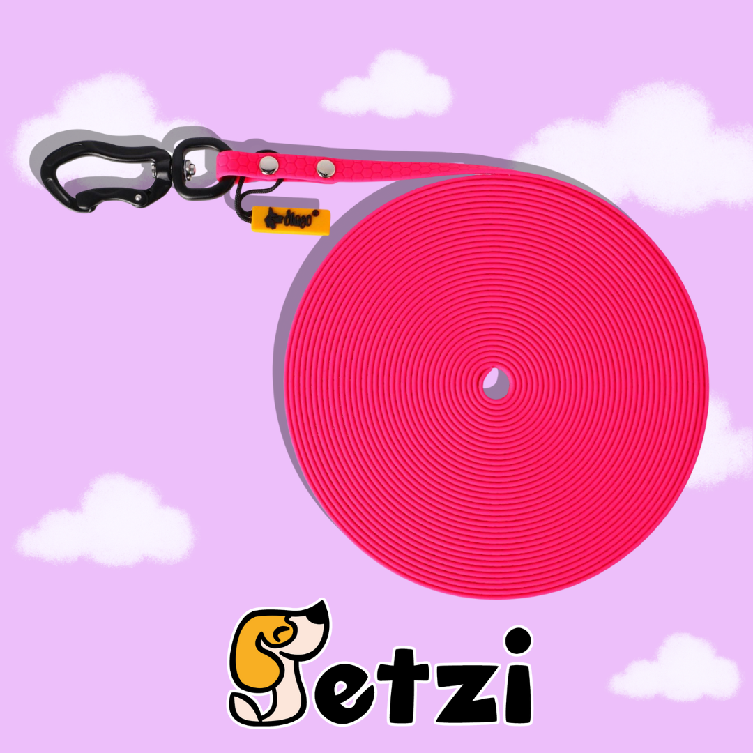DINGO FLEX SMYCZ TRENINGOWA (BEZ RĄCZKI) 20M – RÓŻNE KOLORY