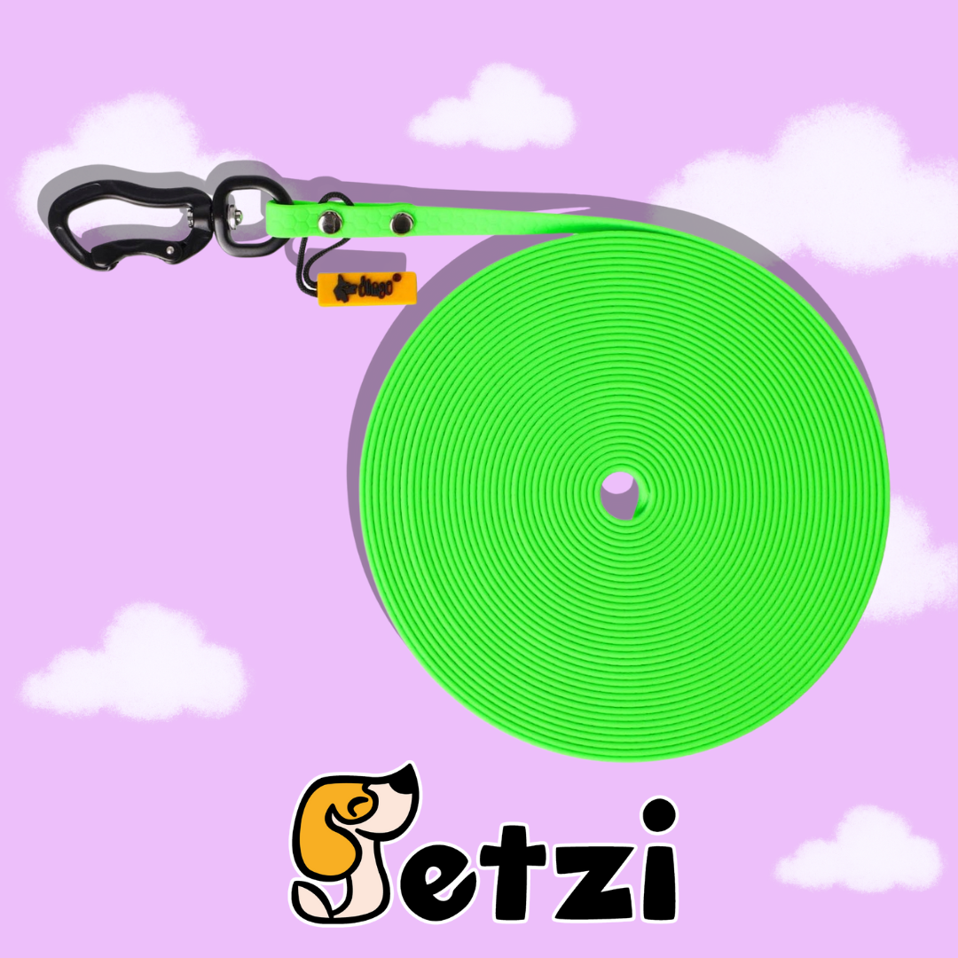 DINGO FLEX SMYCZ TRENINGOWA (BEZ RĄCZKI) 20M – RÓŻNE KOLORY