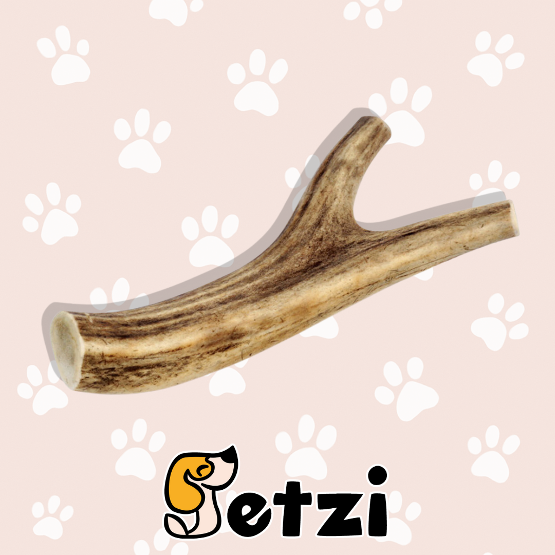 POROŻE JELENIA HARD / SOFT – NATURALNY GRYZAK DLA PSA – RÓŻNE RODZAJE