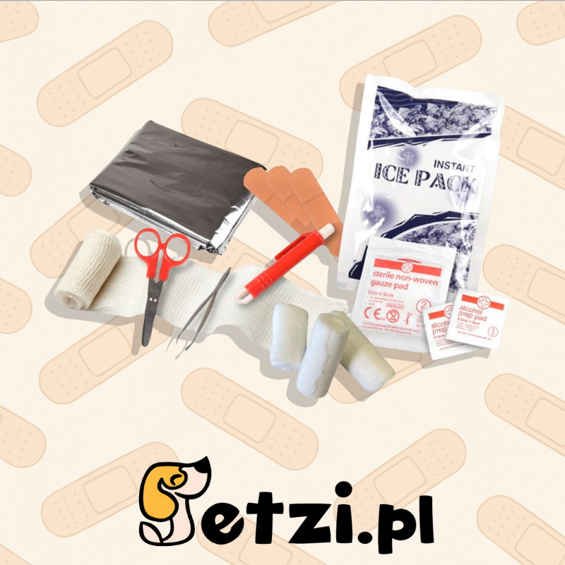FLAMINGO PETS FIRST AID KIT RESKU PREMIUM RED 20X15X6CM