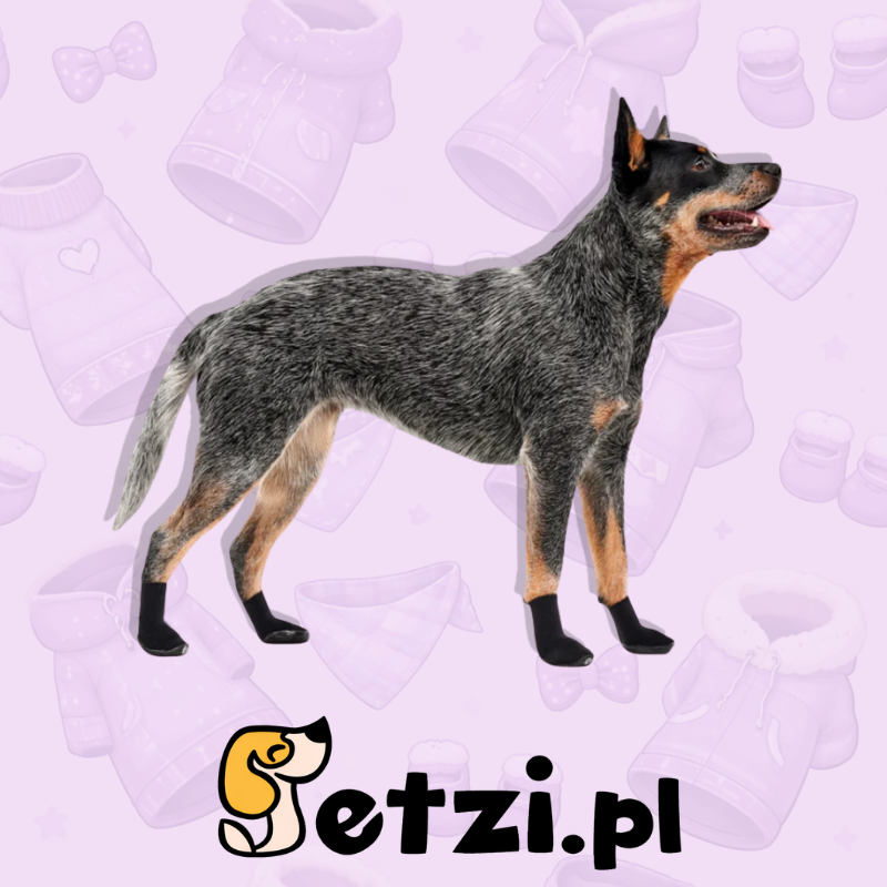 GOOEEZ LITES DOG BOOTIES (4-PACK) 2XL BLACK/BLACK - BUCIKI DLA PSIAKA