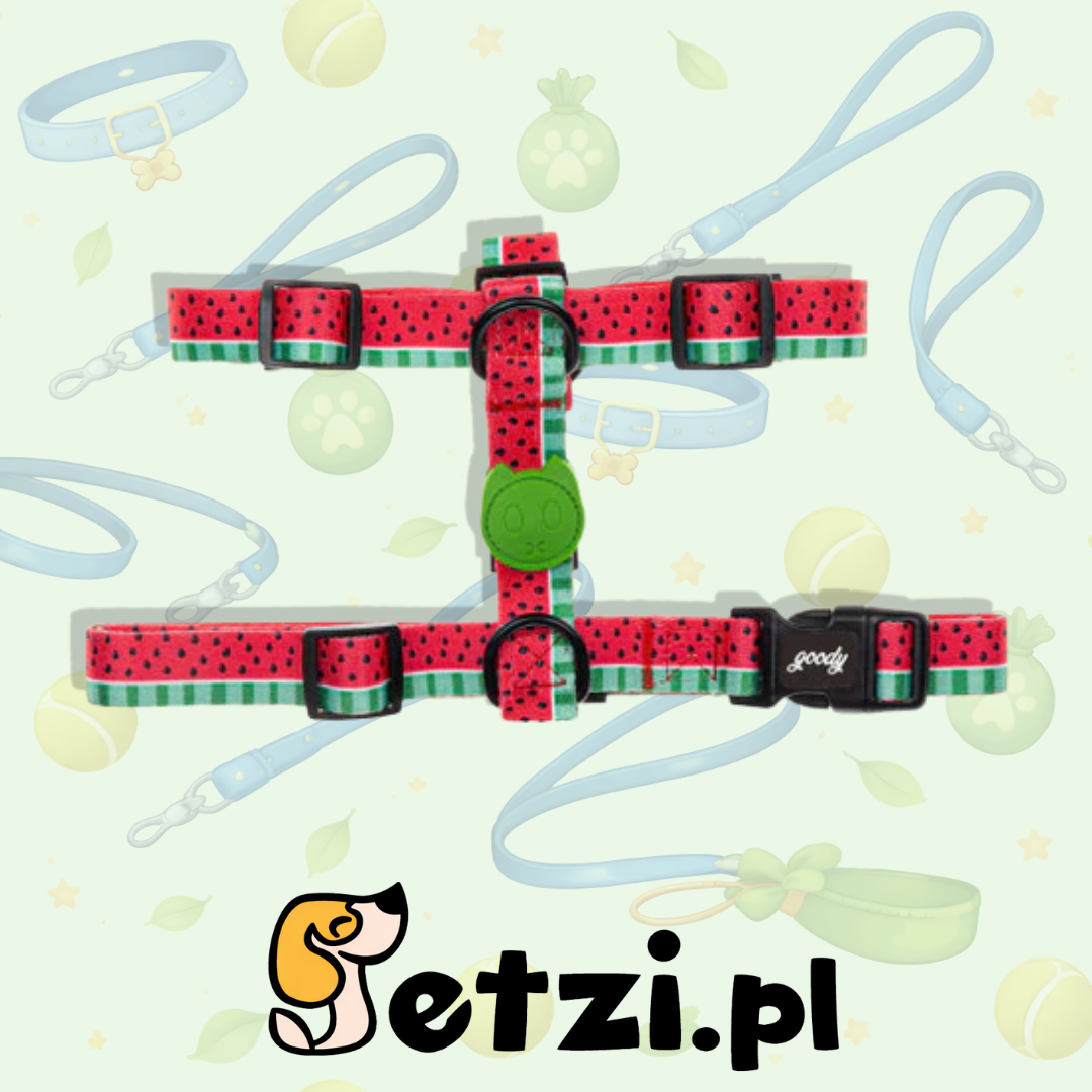 GOODY SZELKI GUARD DLA PSA REFRESHING DRINK M