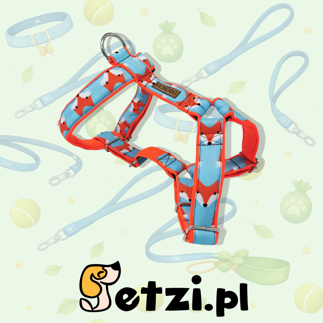 KENDOG SZELKI GUARD DLA PSA LISY S