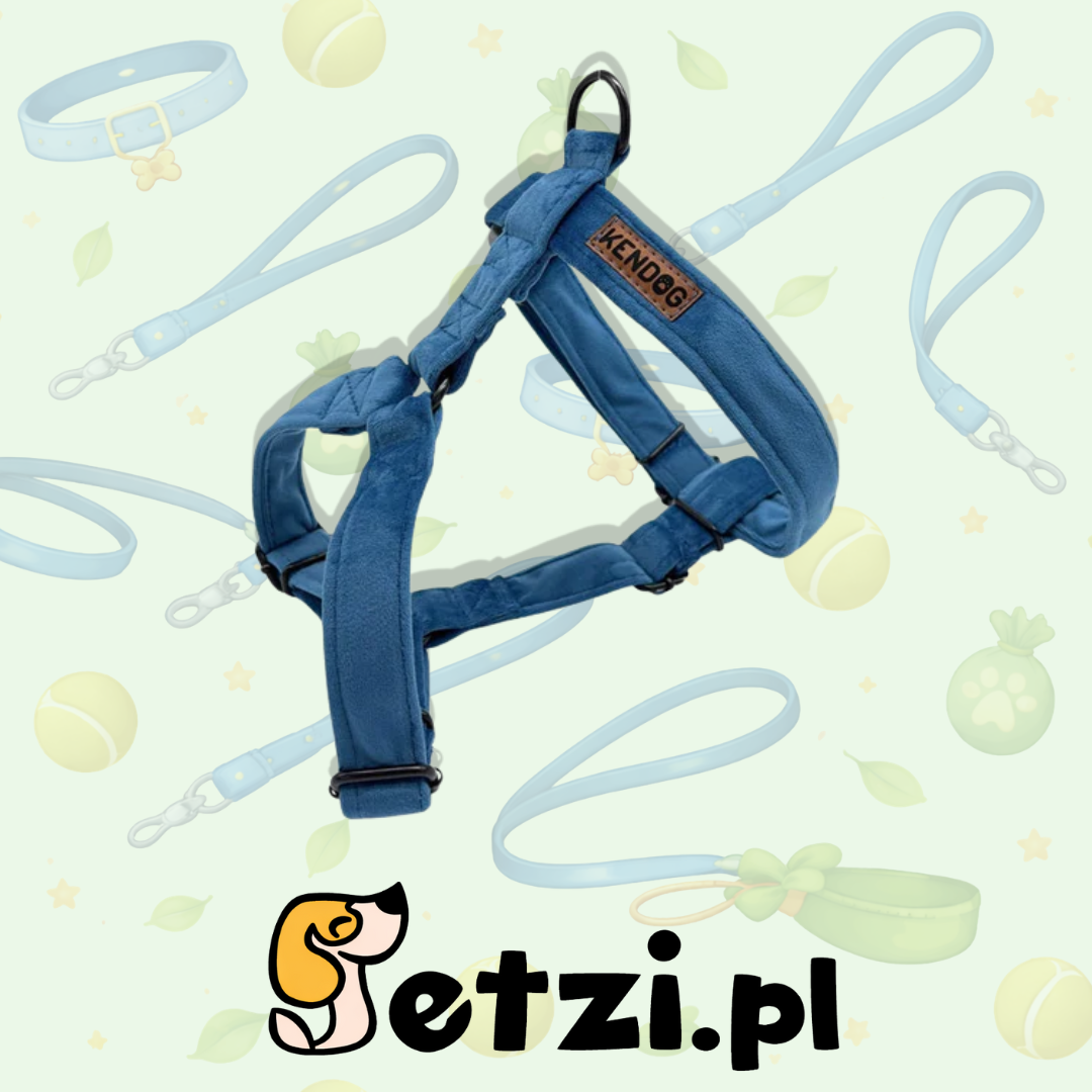 KENDOG SZELKI GUARD DLA PSA VELVET BLUE XS