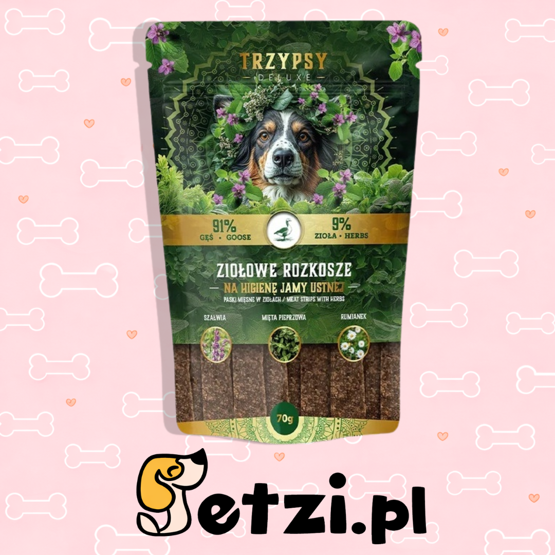 TRZYPSY ZIOŁOWE ROZKOSZE PASKI Z GĘSI 70G