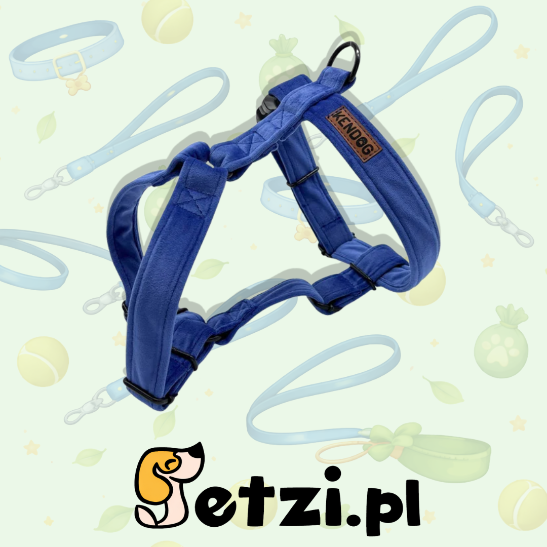 KENDOG SZELKI GUARD DLA PSA VELVET INDYGO XS