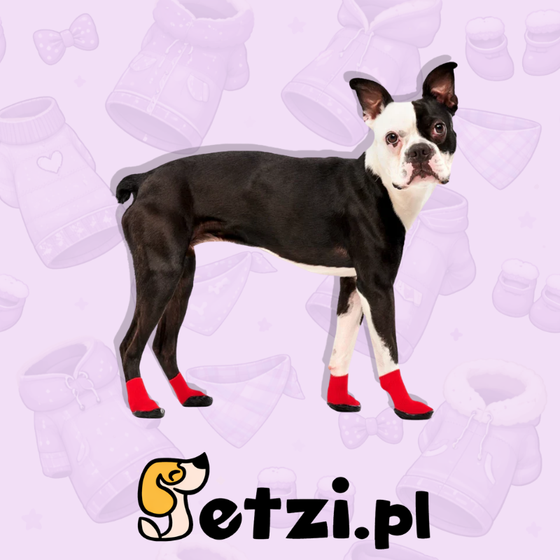 GOOEEZ LITES DOG BOOTIES (4-PACK) XS RED/BLACK - BUCIKI DLA PSIAKA
