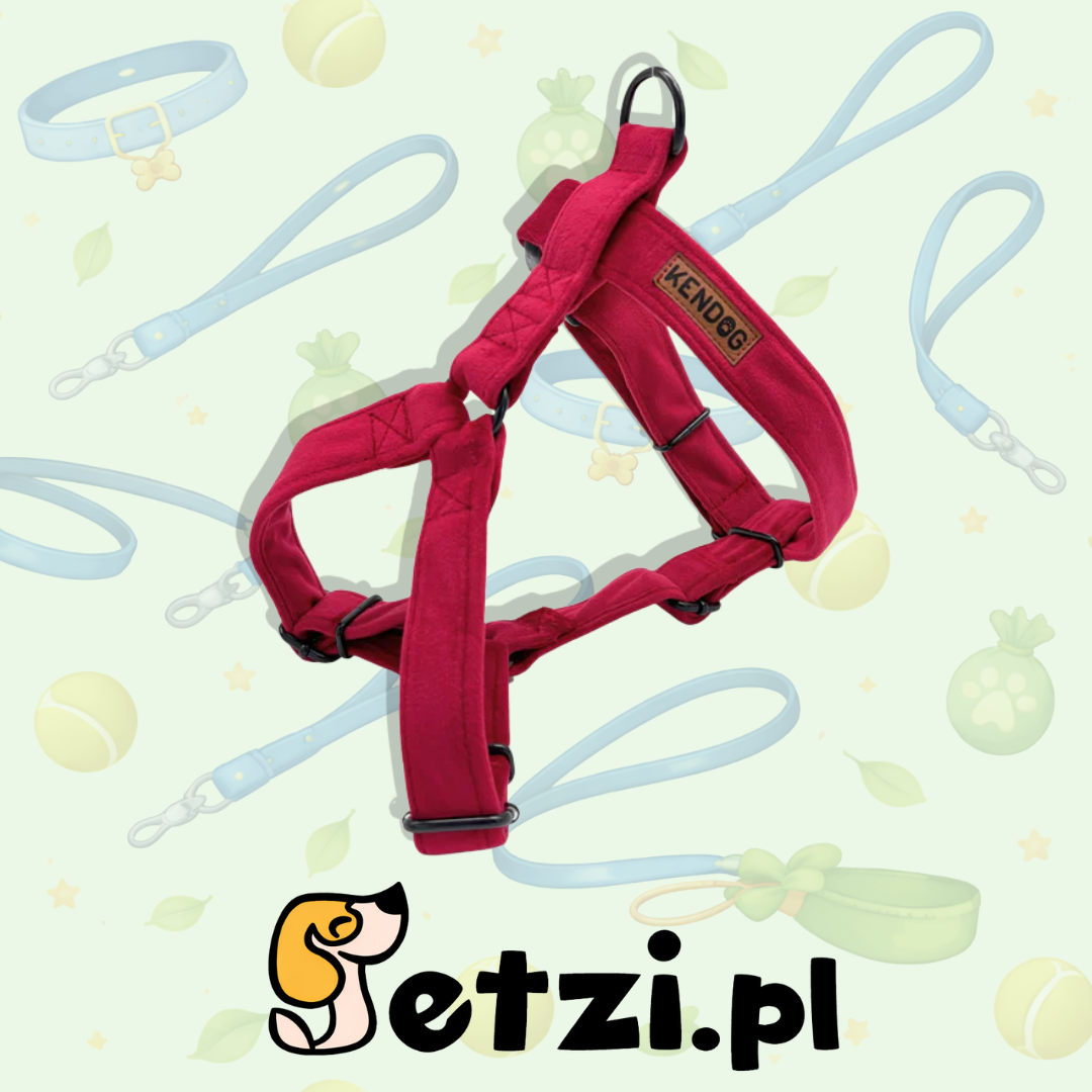 KENDOG SZELKI GUARD DLA PSA VELVET RED XS