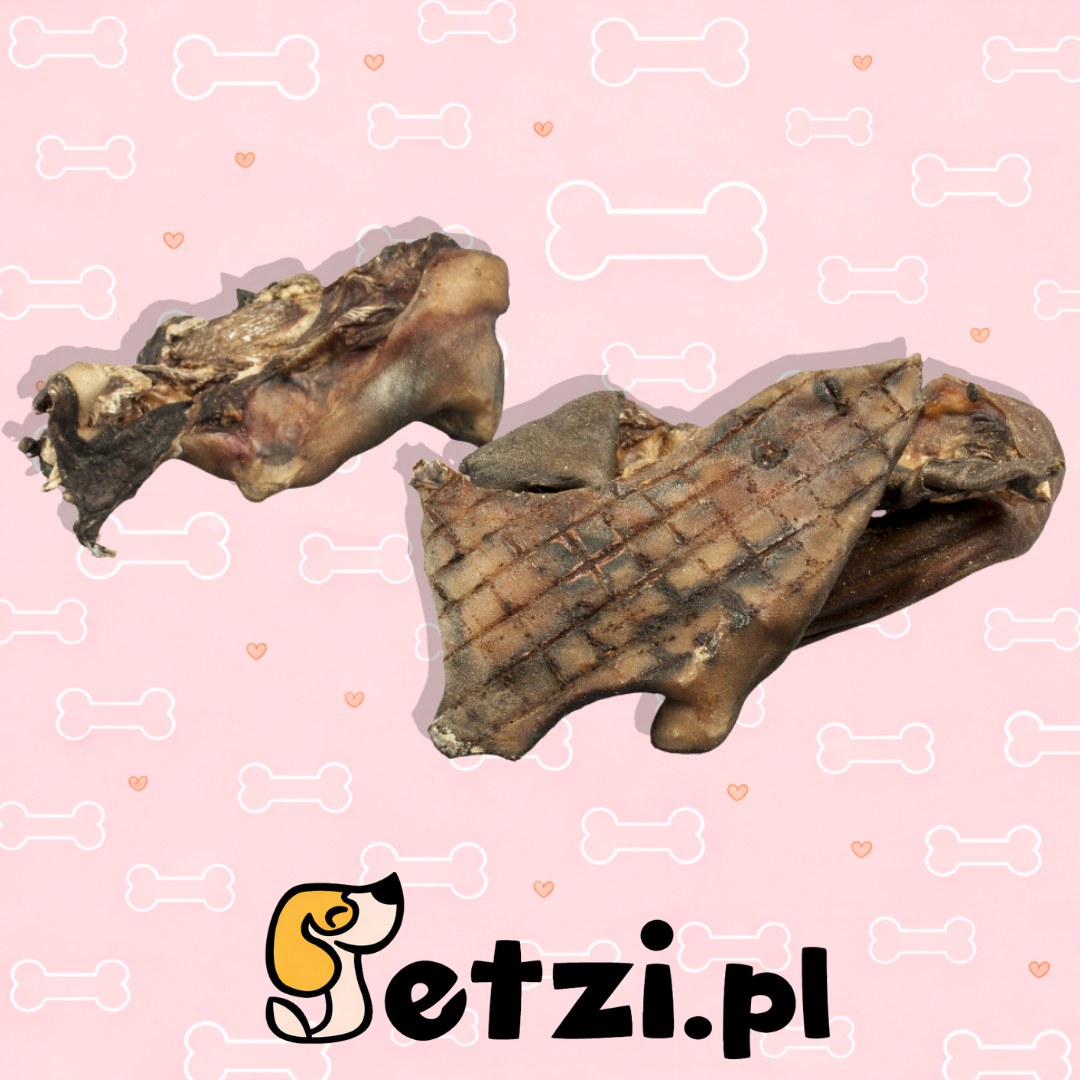 BALTO GRYZAK DLA PSA SKÓRA SARNY 250G