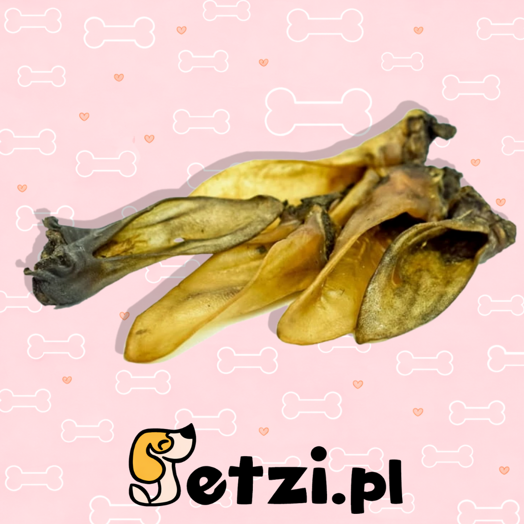 BALTO GRYZAK DLA PSA UCHO BARANIE 2SZT