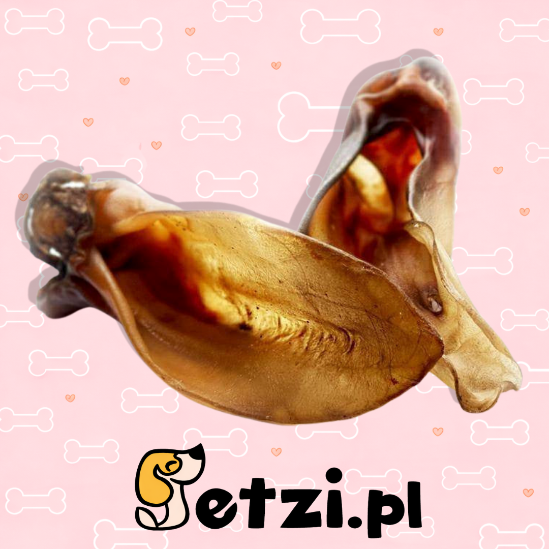 BALTO GRYZAK DLA PSA UCHO CIELĘCE 2SZT