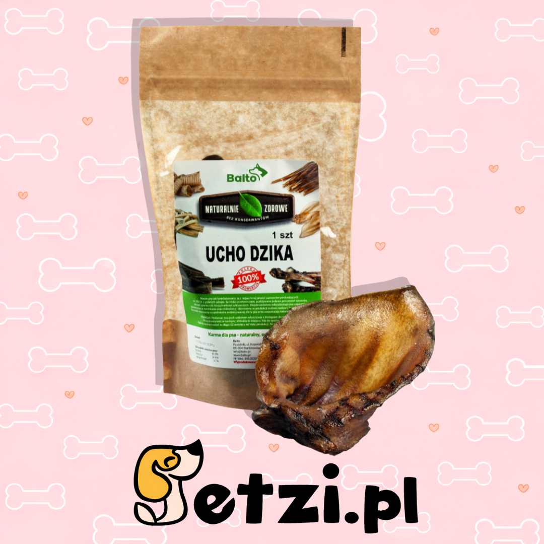 BALTO GRYZAK DLA PSA UCHO DZIKA 1SZT
