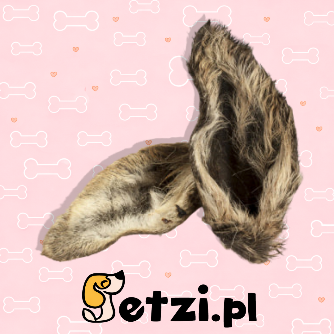 BALTO GRYZAK DLA PSA UCHO SARNY Z FUTREM 2SZT