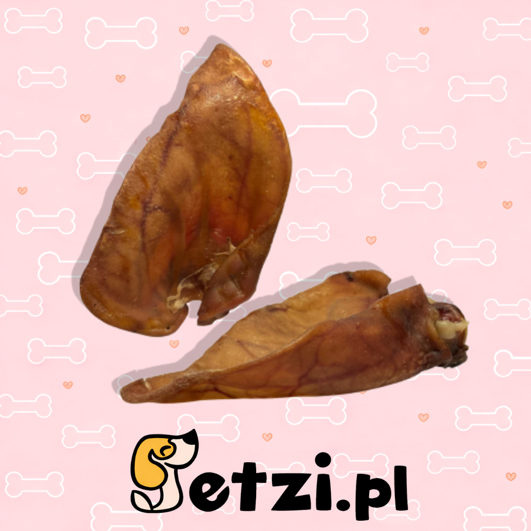 BALTO GRYZAK DLA PSA UCHO WIEPRZOWE XXL 1SZT