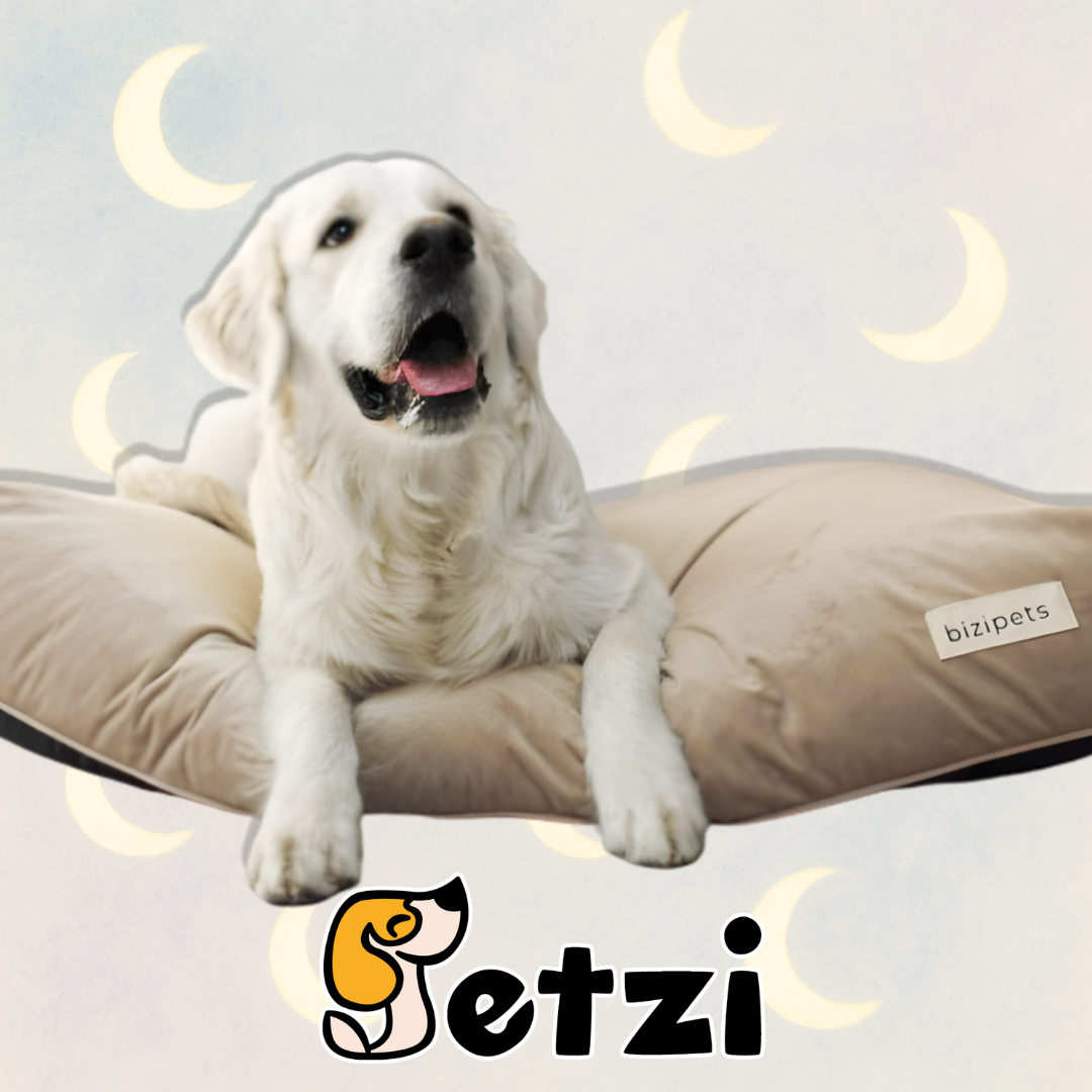 BIZIPETS LEGOWISKO DLA PSA PREMIUM BEŻOWE S