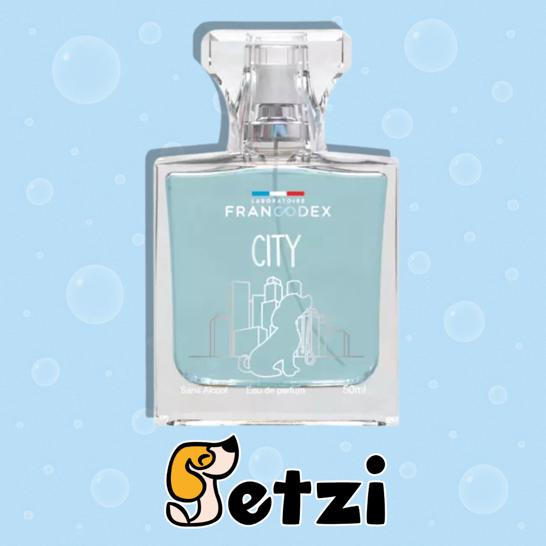 FRANCODEX PERFUMY CITY ZAPACH UNISEX 50 ML